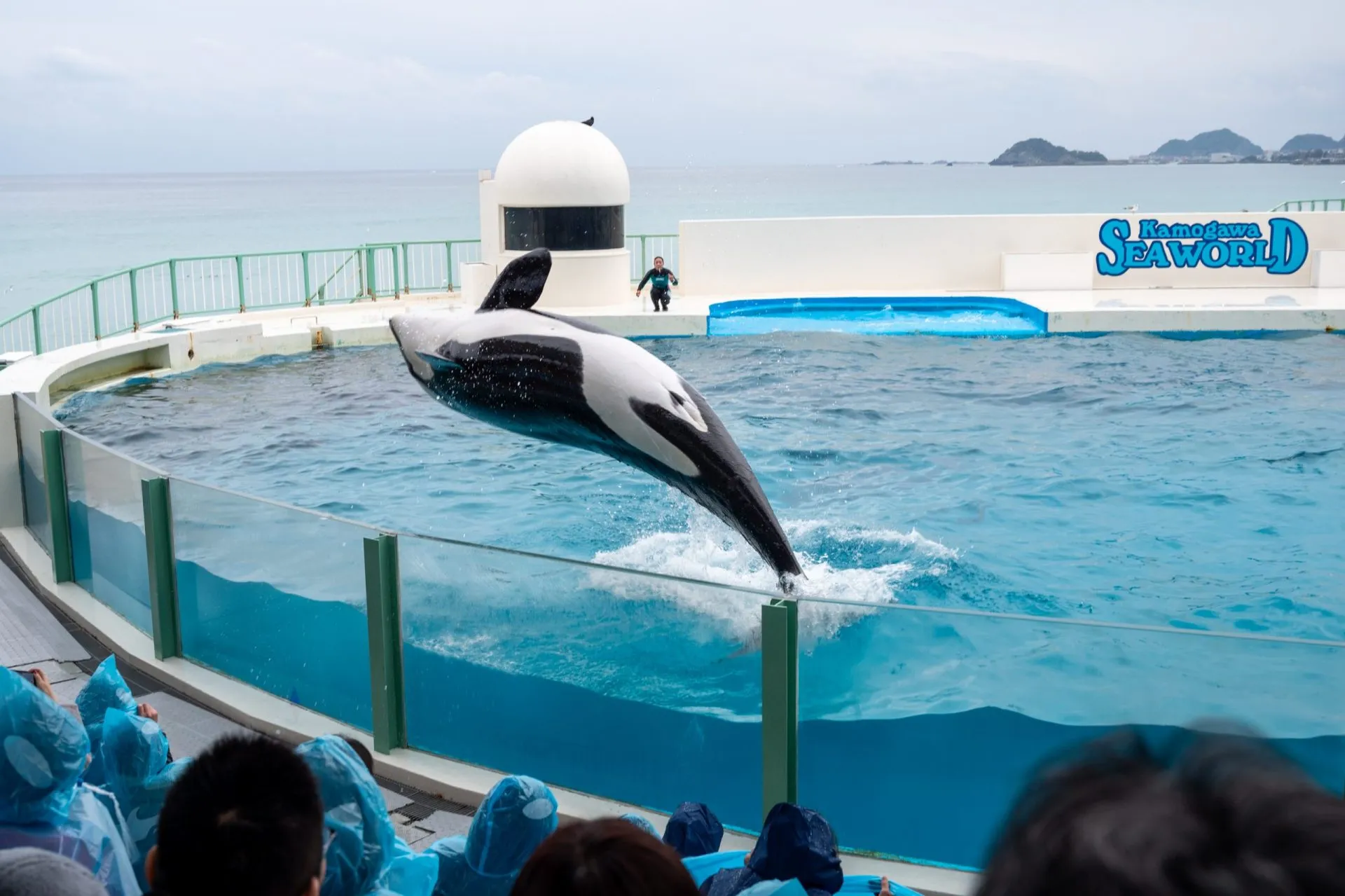 鴨川シーワールドの展示