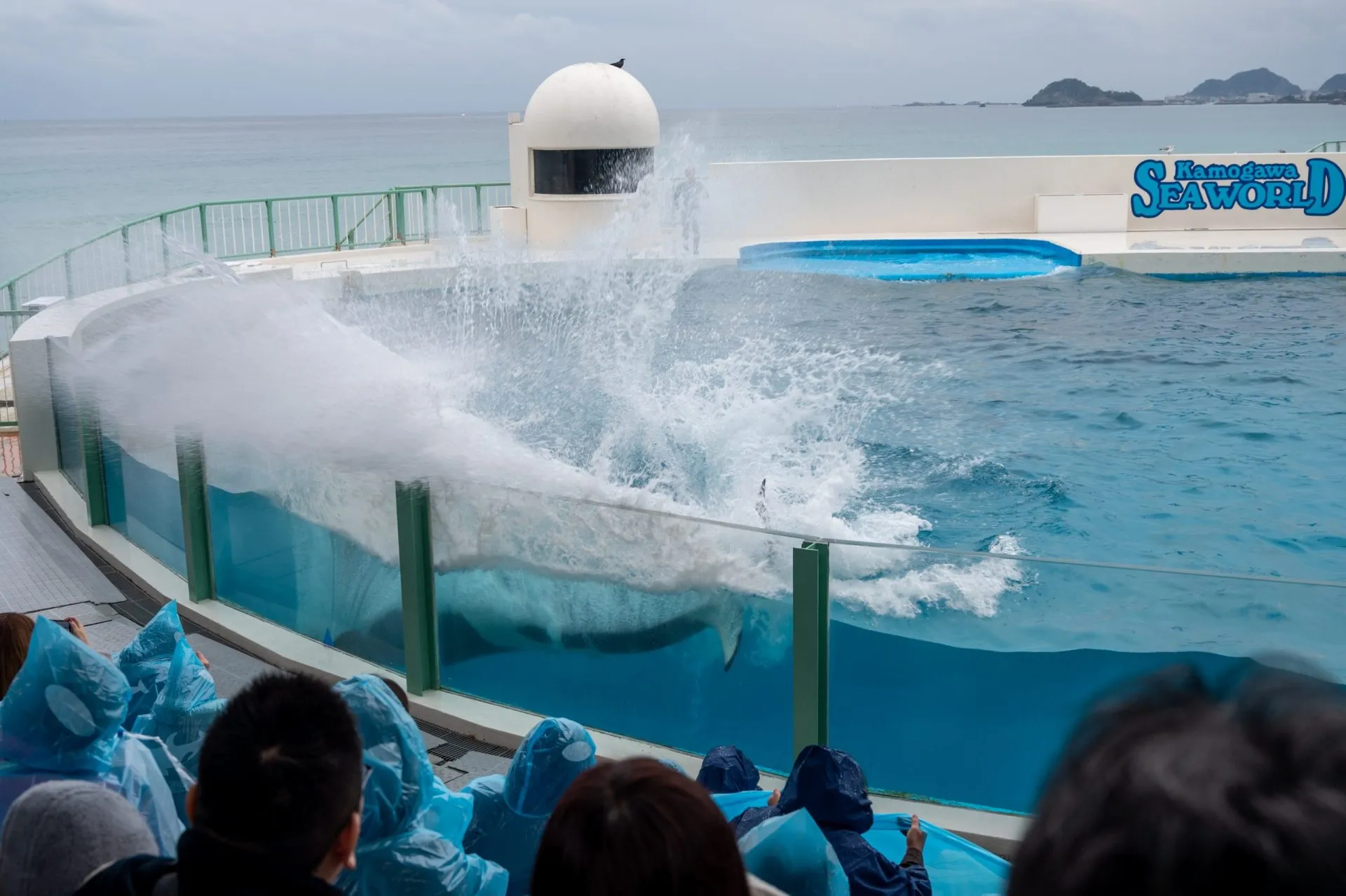 鴨川シーワールドの展示