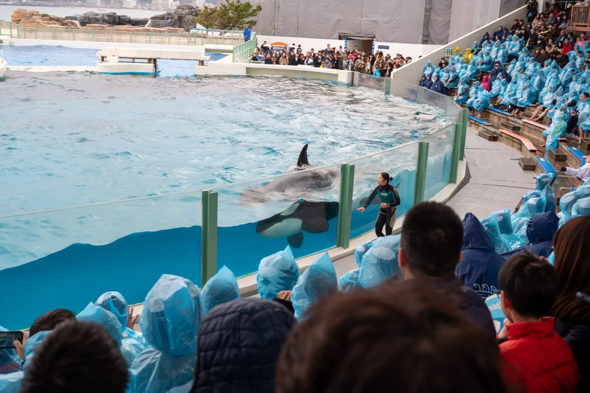 鴨川シーワールドの展示