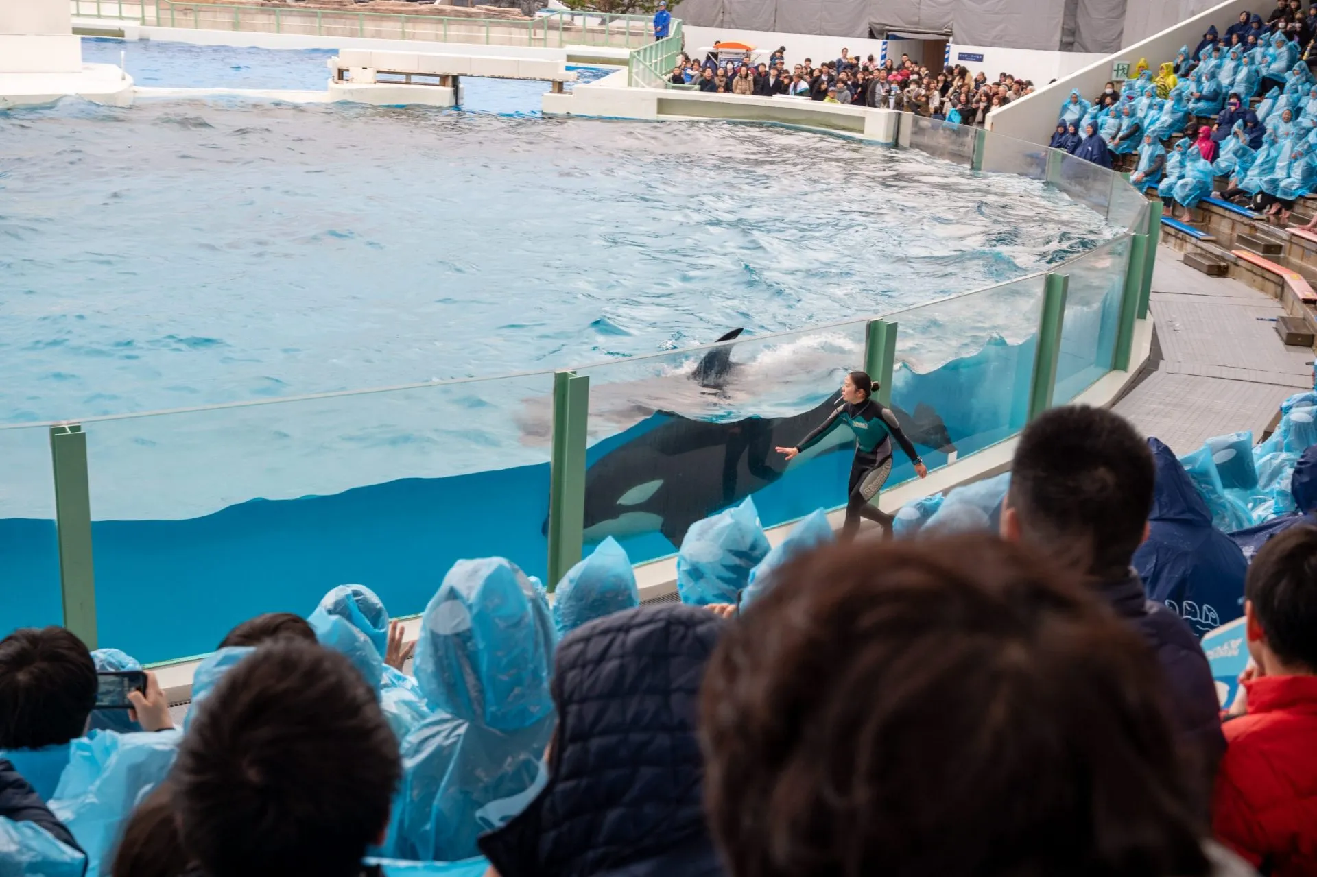 鴨川シーワールドの展示