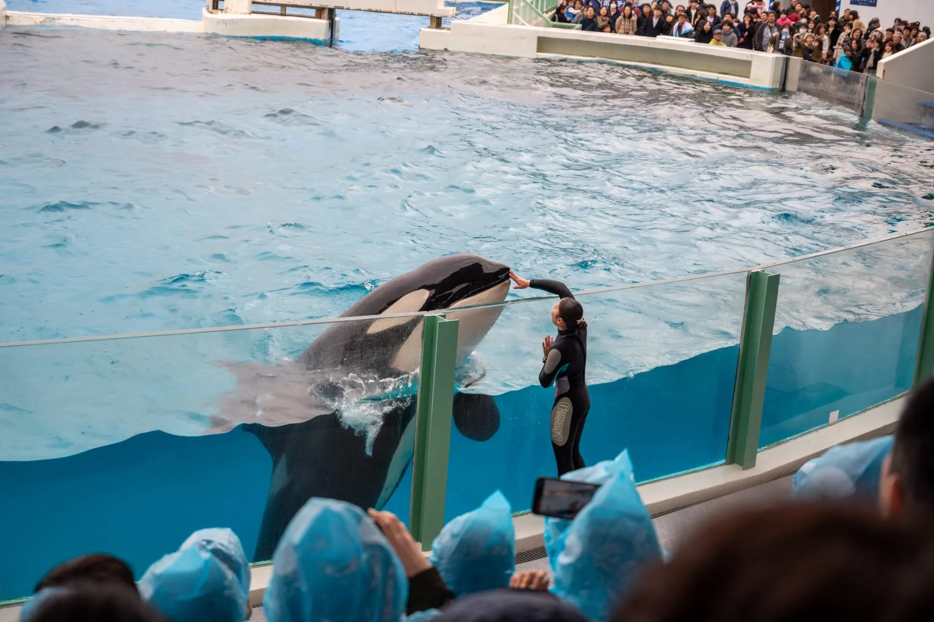 鴨川シーワールドの展示