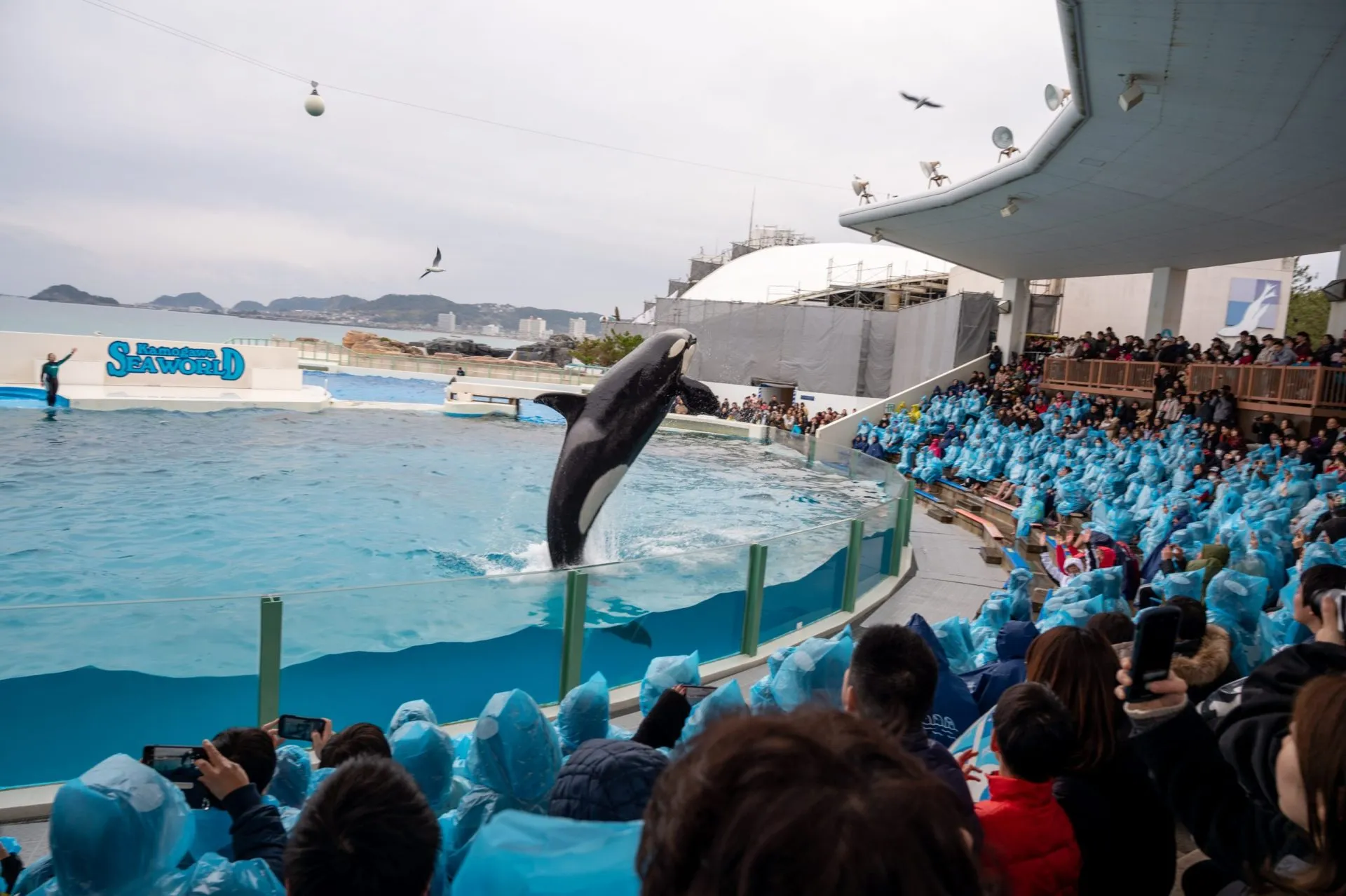 鴨川シーワールドの展示