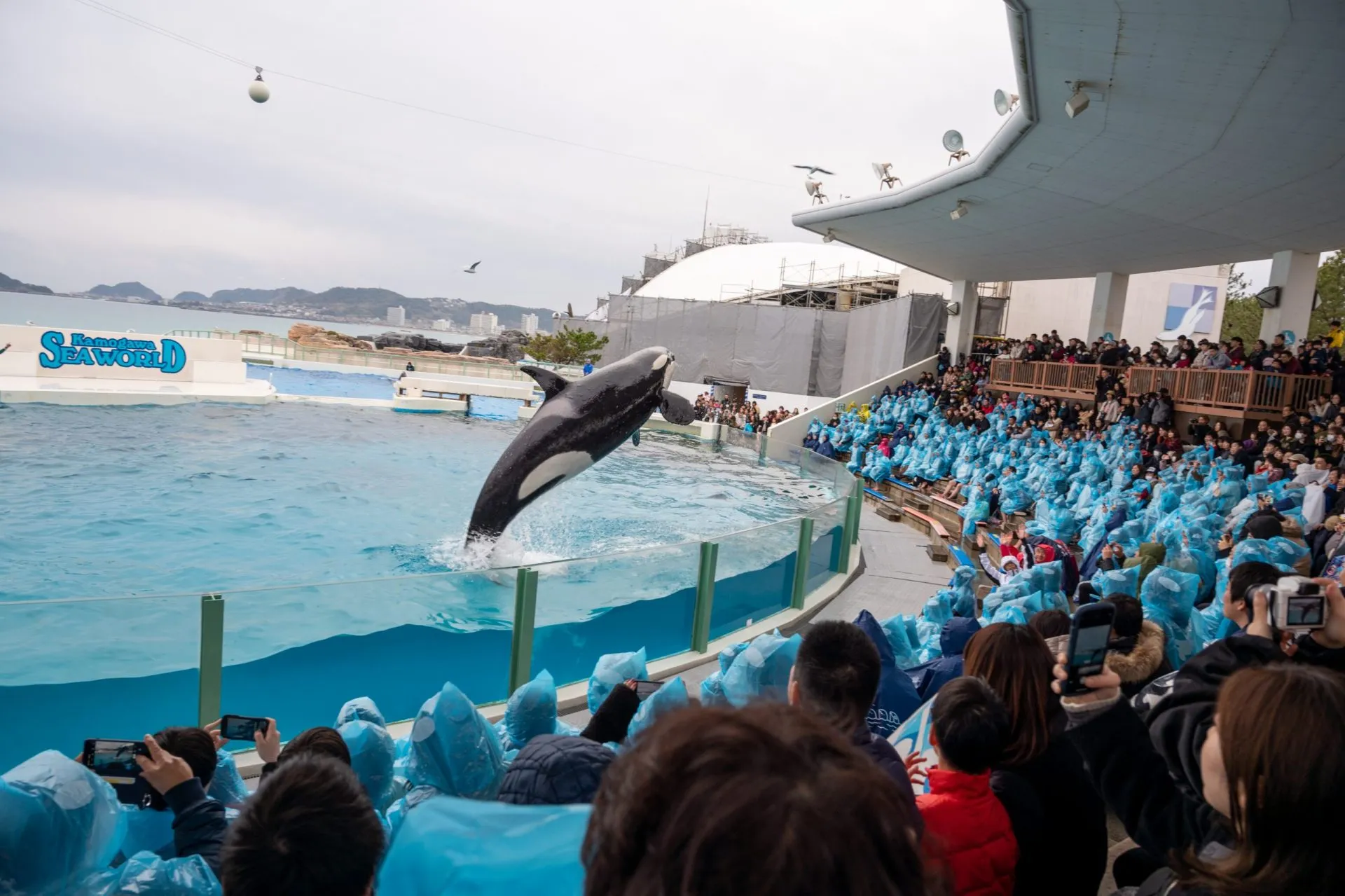 鴨川シーワールドの展示