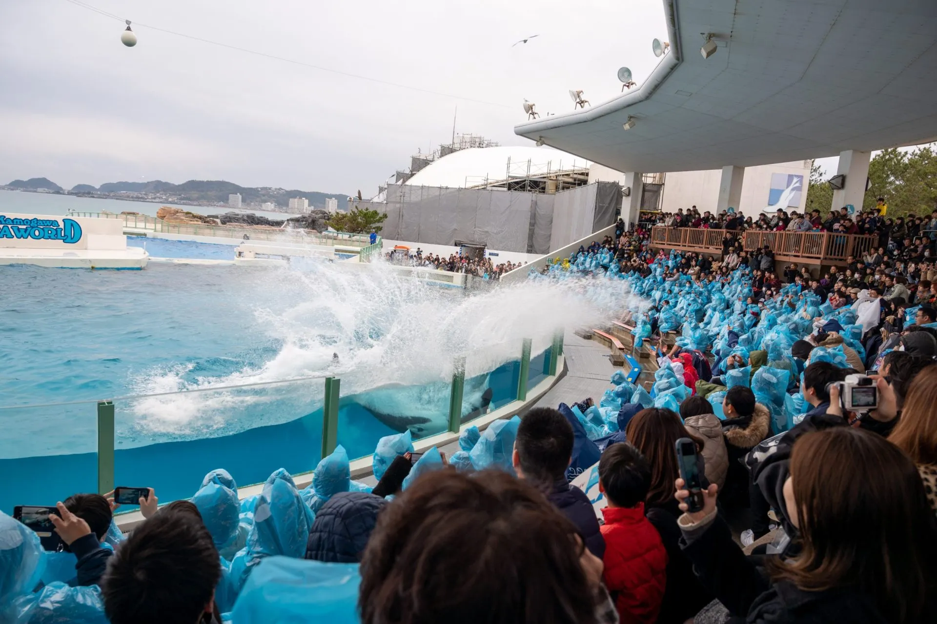 鴨川シーワールドの展示