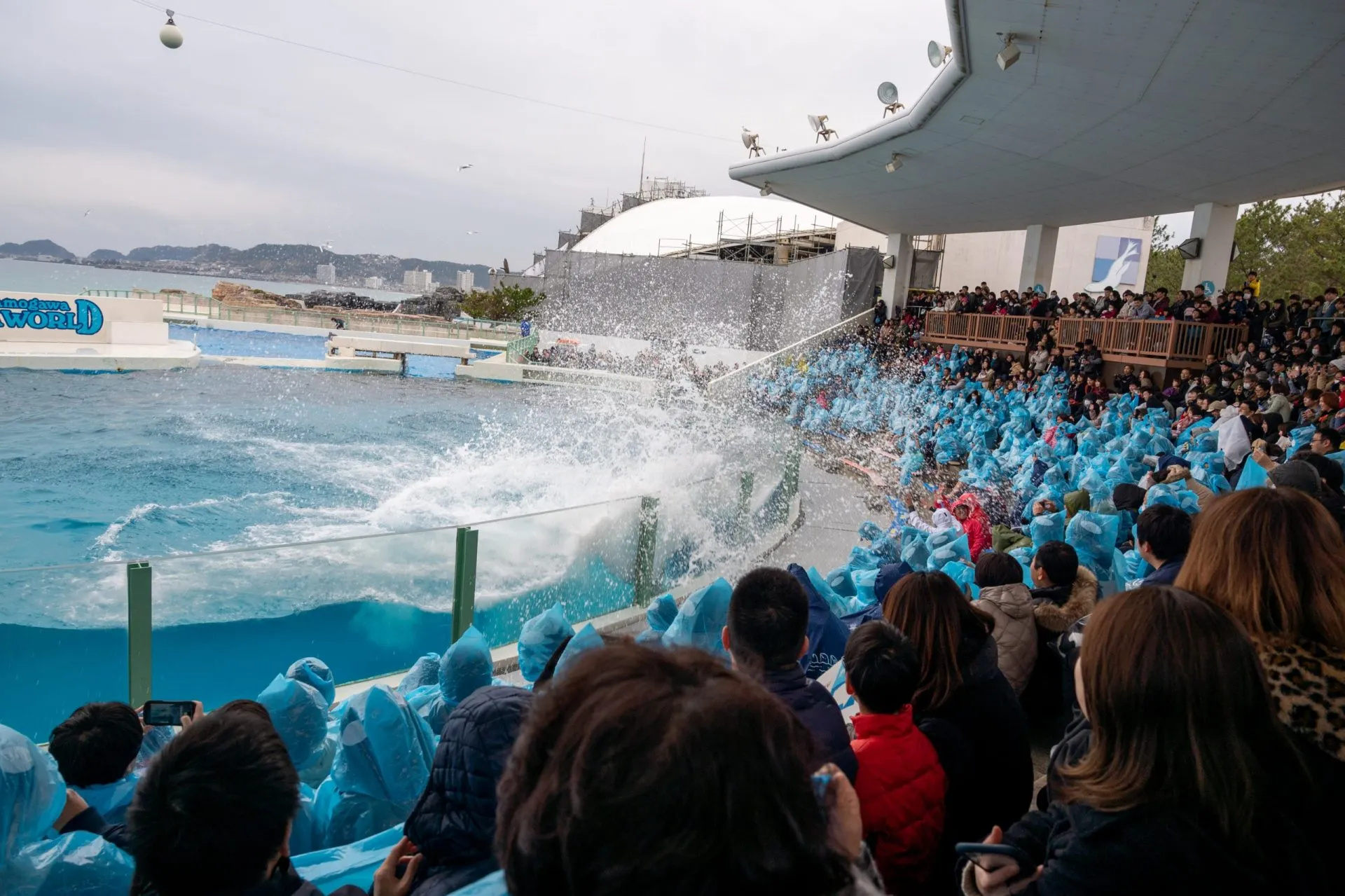 鴨川シーワールドの展示