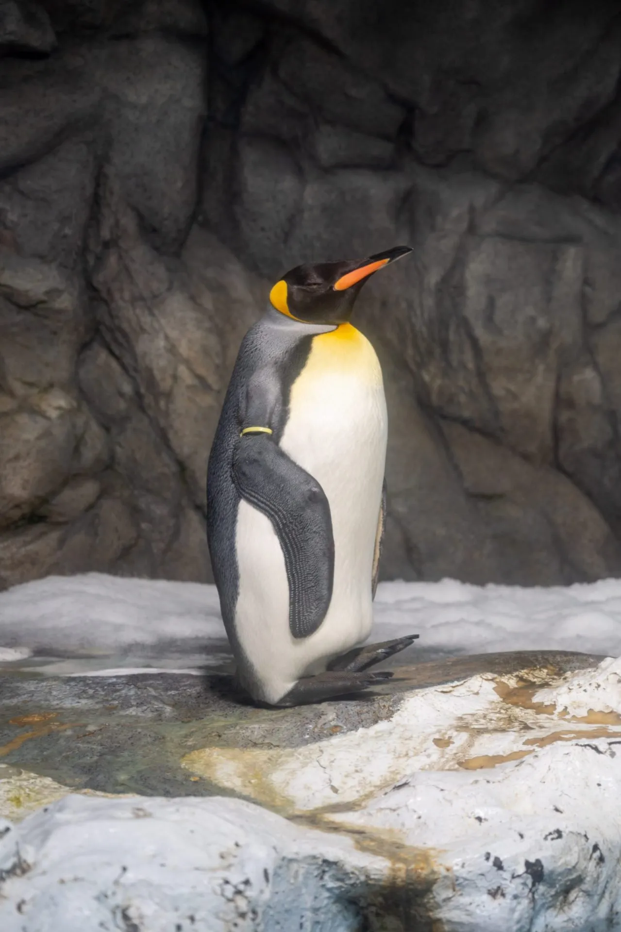 鴨川シーワールドの展示