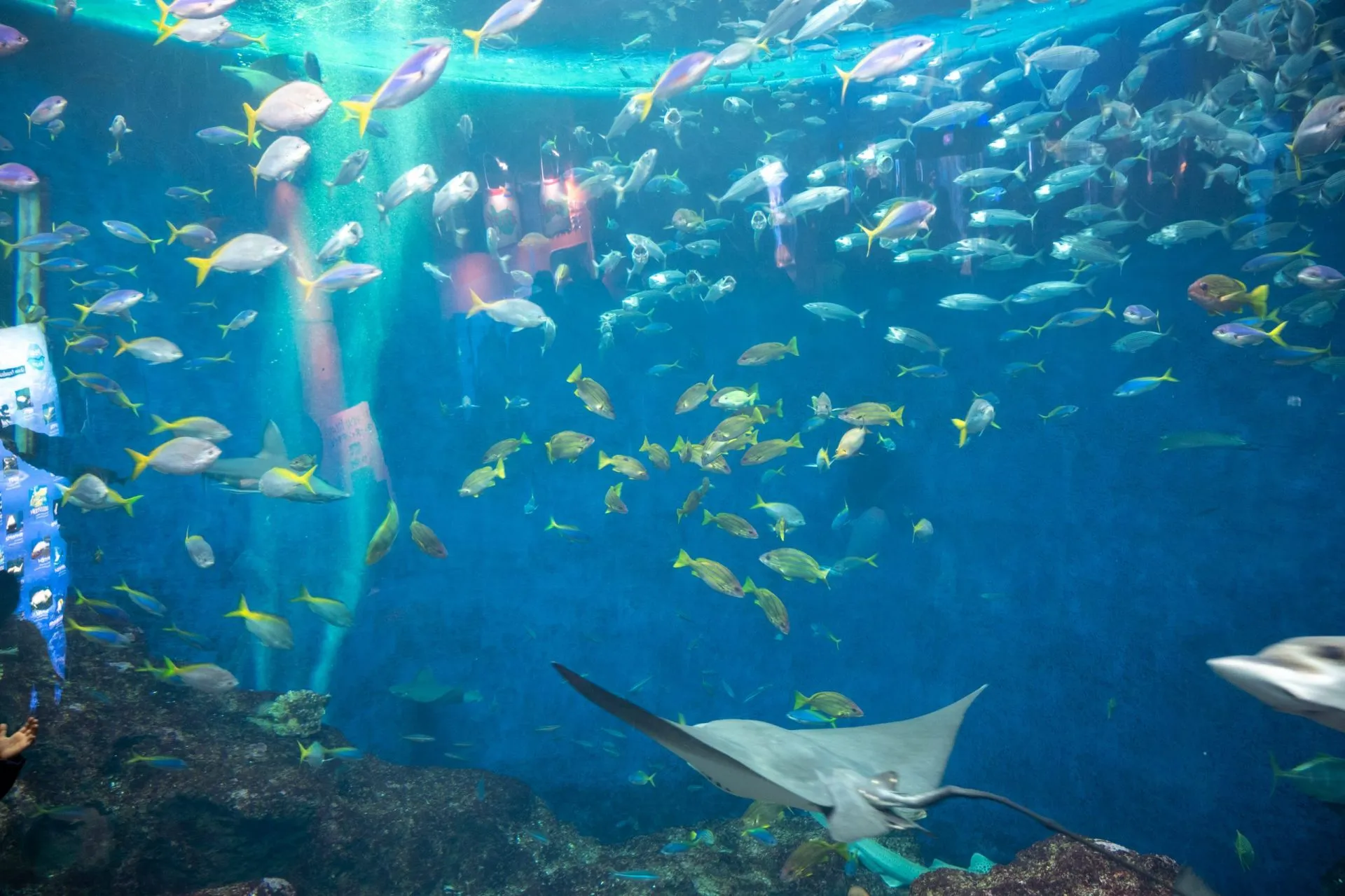 鴨川シーワールドの展示