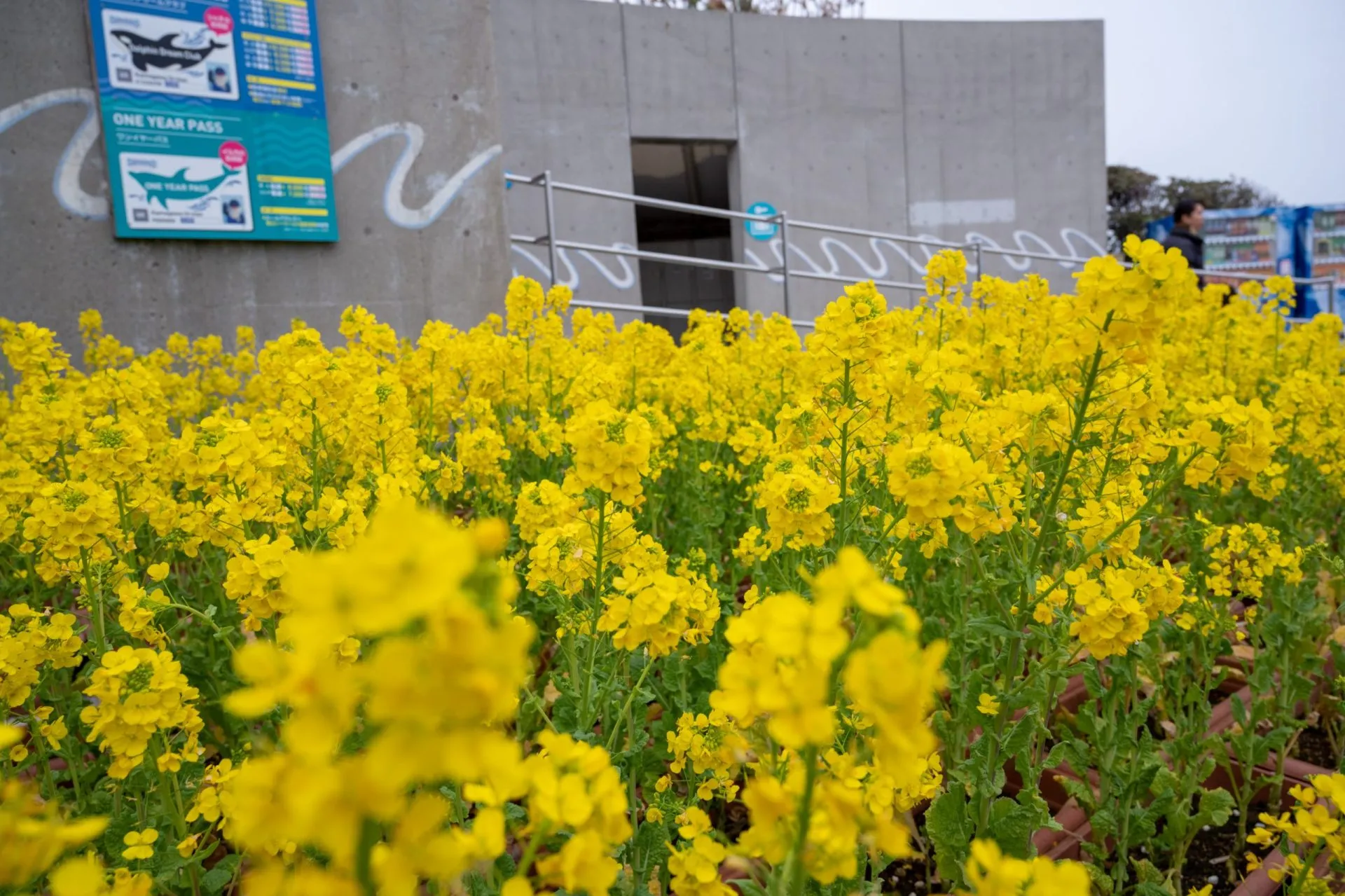鴨川シーワールドの展示