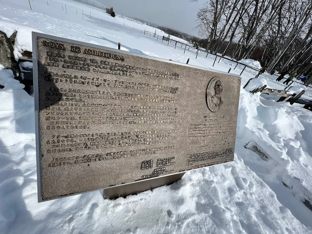 丘の上からの眺め