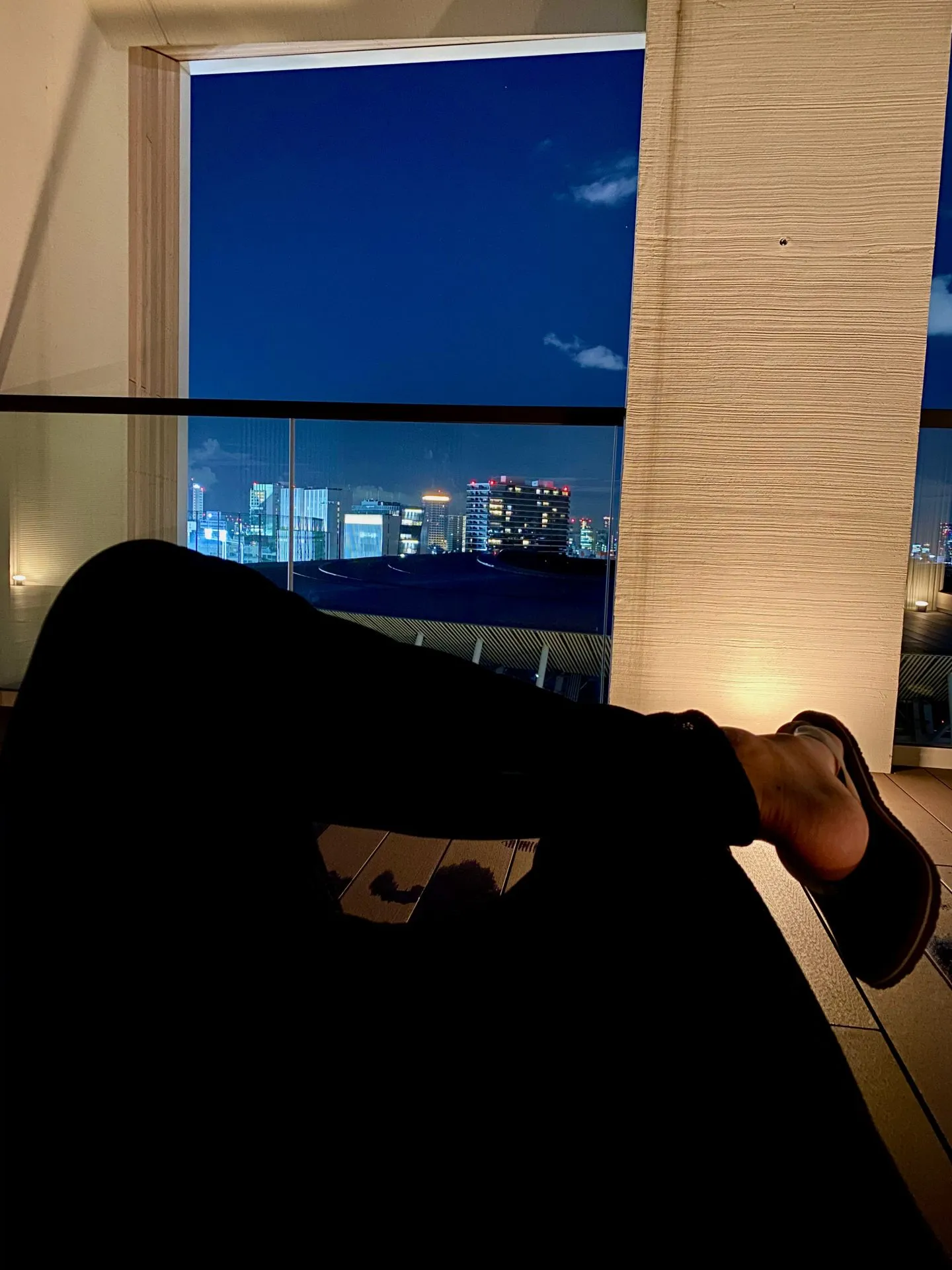 ホテル屋上からの景色