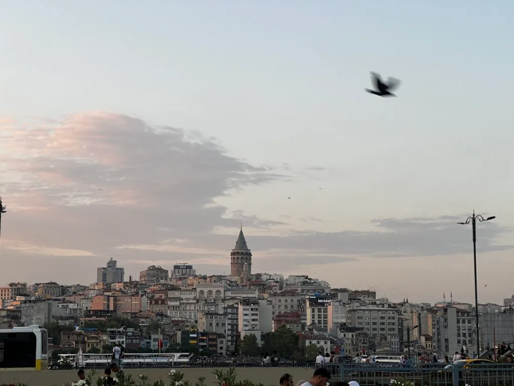 ガラタ塔の遠景