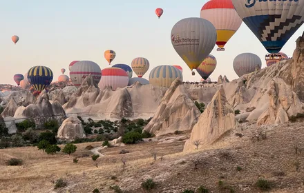 Cover Image of the Post