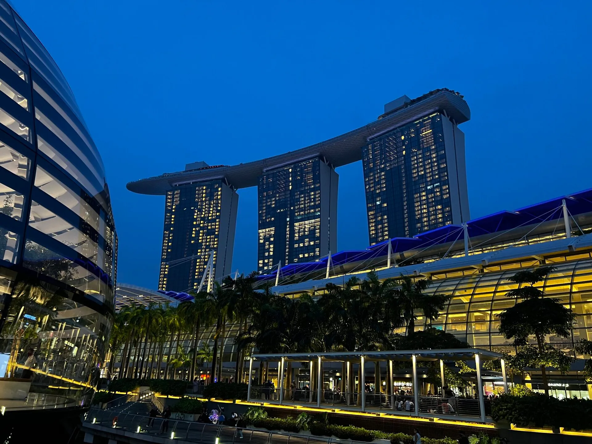 湾岸エリアの風景