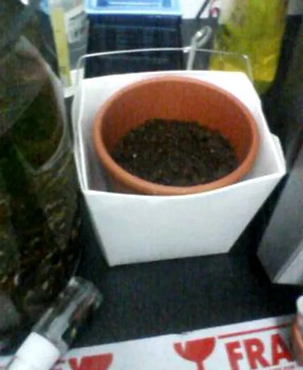 Cover Image of the Post