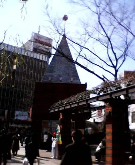 Cover Image of the Post