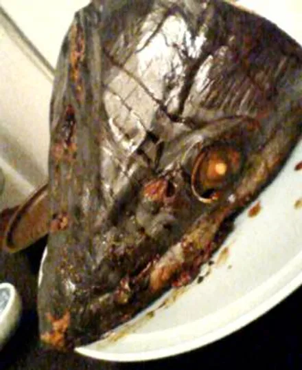 Cover Image of the Post