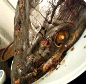 Cover Image of the Post