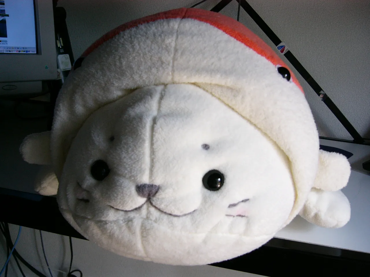 あずま錦のしろたん