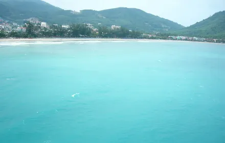 Cover Image of the Post