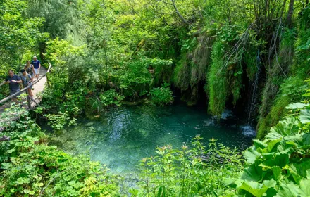 Cover Image of the Post