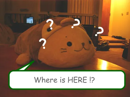 Cover Image of the Post